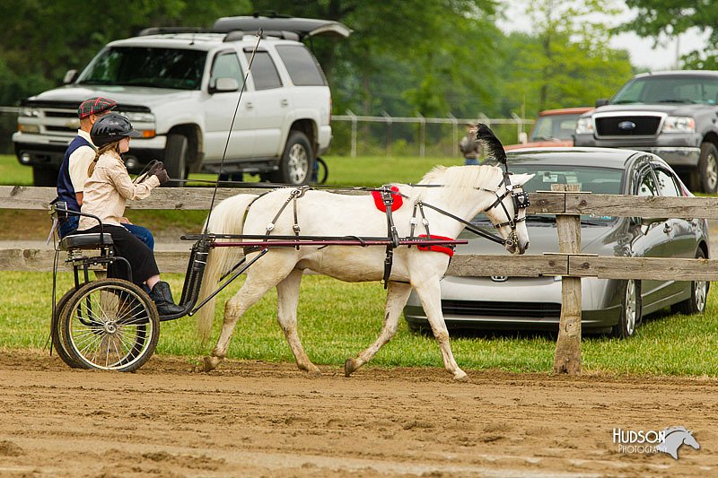 4H-FUN-060813-0462.jpg