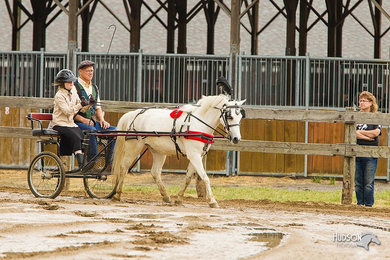 4H-FUN-060813-0464.jpg
