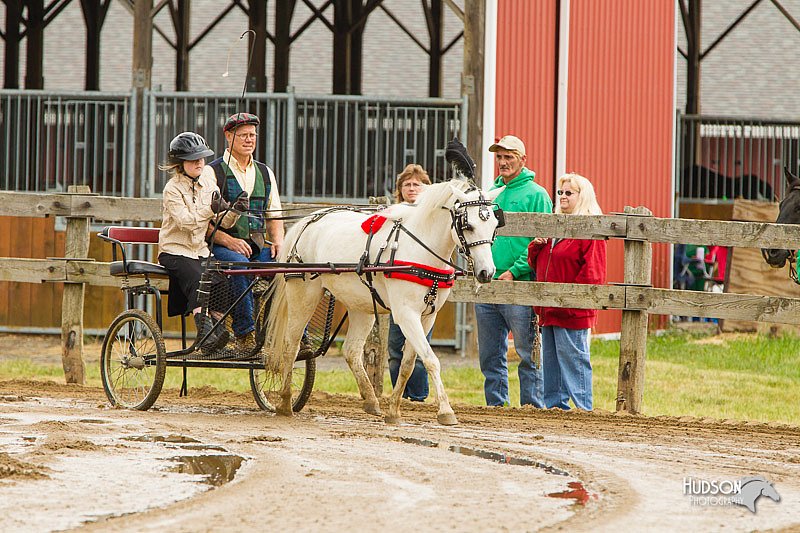 4H-FUN-060813-0465.jpg