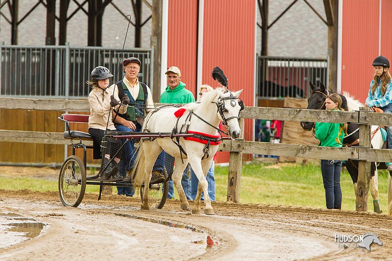 4H-FUN-060813-0466.jpg