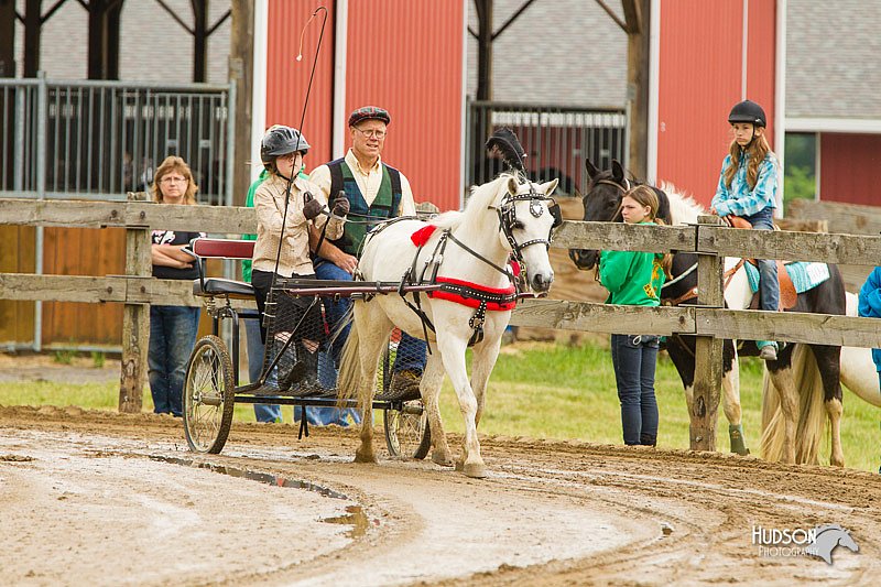 4H-FUN-060813-0467.jpg