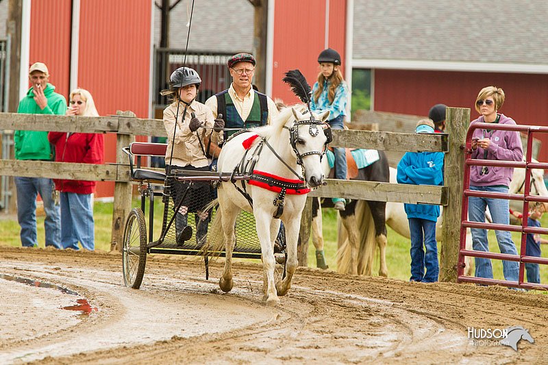4H-FUN-060813-0468.jpg