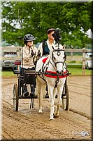 4H-FUN-060813-0447.jpg
