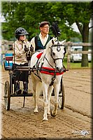 4H-FUN-060813-0448.jpg