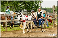 4H-FUN-060813-0450.jpg