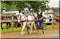 4H-FUN-060813-0451.jpg