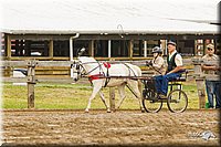 4H-FUN-060813-0452.jpg