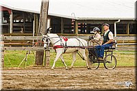 4H-FUN-060813-0453.jpg