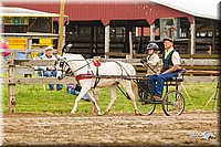 4H-FUN-060813-0454.jpg