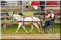 4H-FUN-060813-0455.jpg