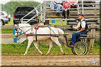4H-FUN-060813-0456.jpg