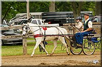 4H-FUN-060813-0458.jpg