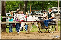 4H-FUN-060813-0459.jpg