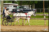 4H-FUN-060813-0460.jpg