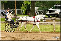 4H-FUN-060813-0461.jpg