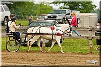 4H-FUN-060813-0463.jpg