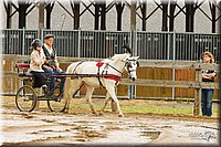 4H-FUN-060813-0464.jpg