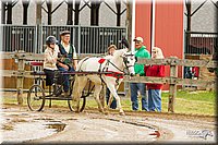 4H-FUN-060813-0465.jpg