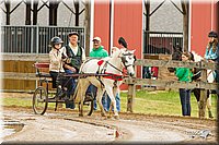 4H-FUN-060813-0466.jpg