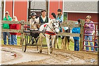 4H-FUN-060813-0468.jpg