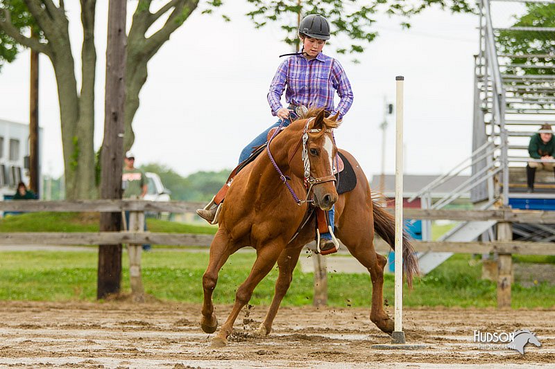 4H-FUN-060813-1073.jpg