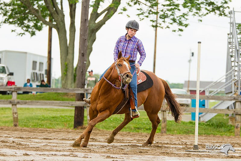 4H-FUN-060813-1075.jpg