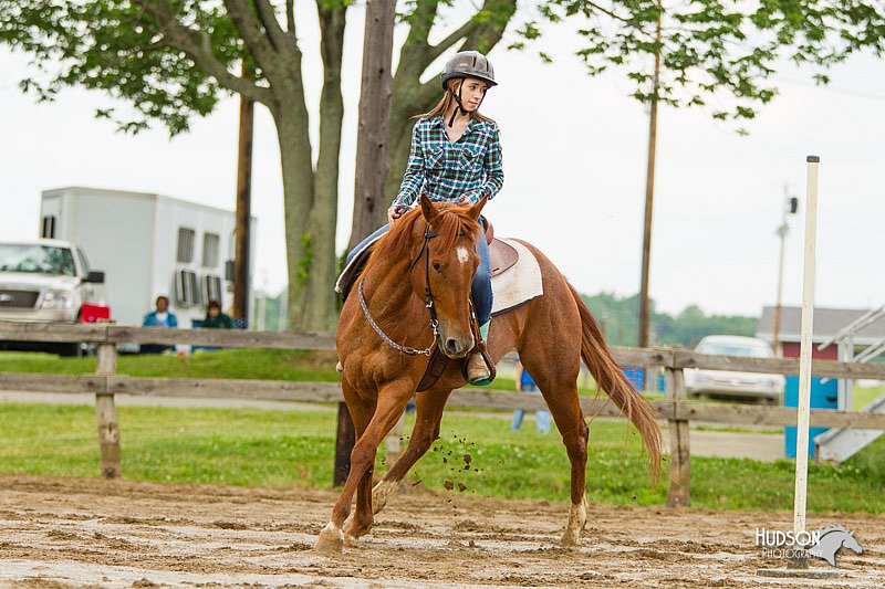 4H-FUN-060813-1078.jpg