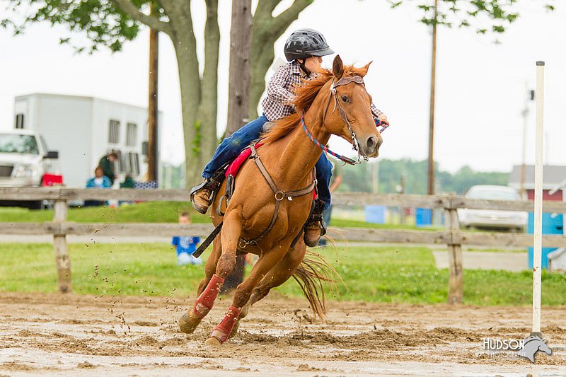 4H-FUN-060813-1088.jpg