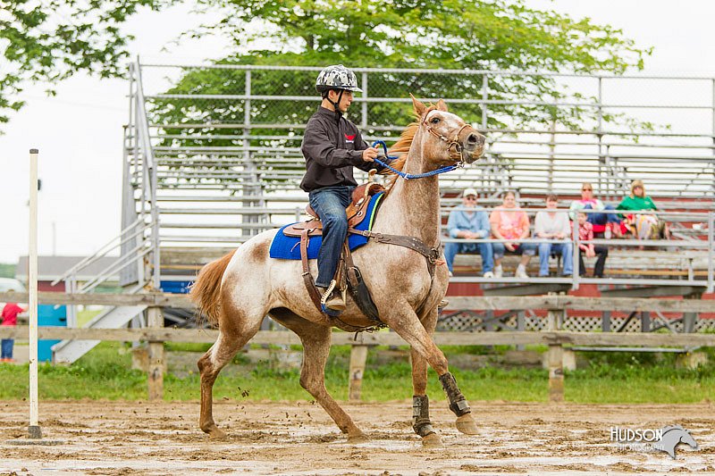 4H-FUN-060813-1093.jpg
