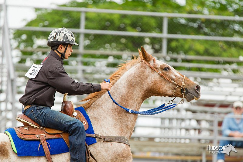 4H-FUN-060813-1099.jpg