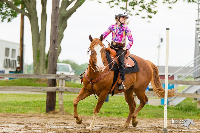4H-FUN-060813-1100.jpg