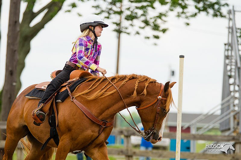 4H-FUN-060813-1101.jpg