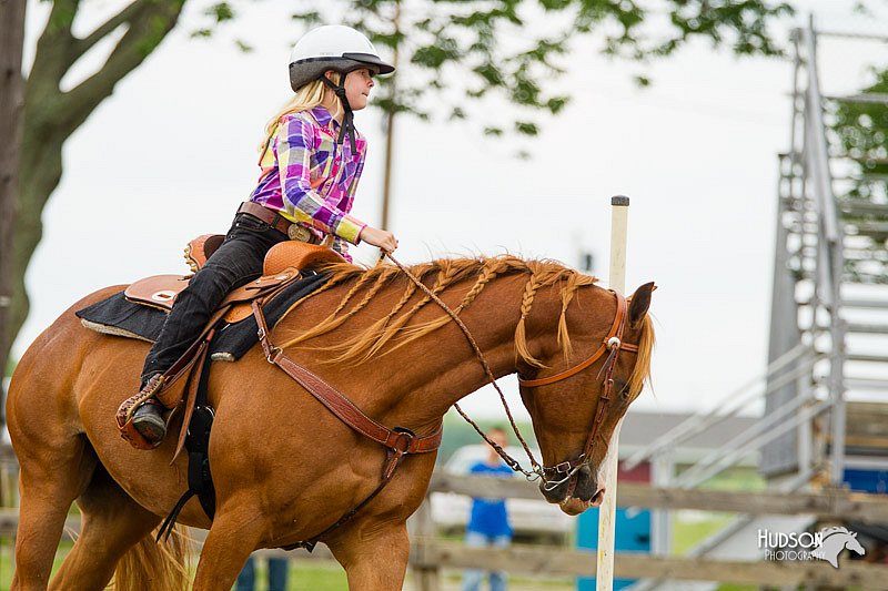 4H-FUN-060813-1102.jpg