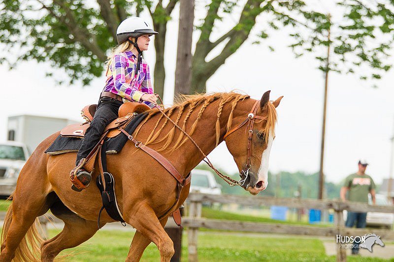 4H-FUN-060813-1106.jpg