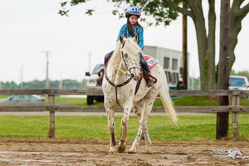 4H-FUN-060813-1109.jpg