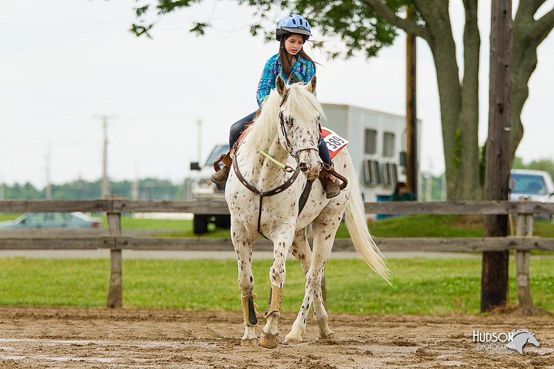4H-FUN-060813-1110.jpg
