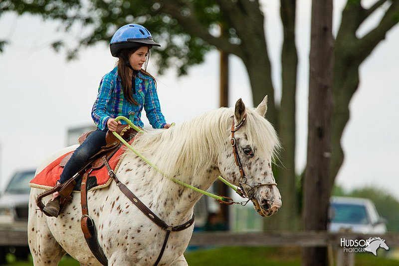 4H-FUN-060813-1111.jpg
