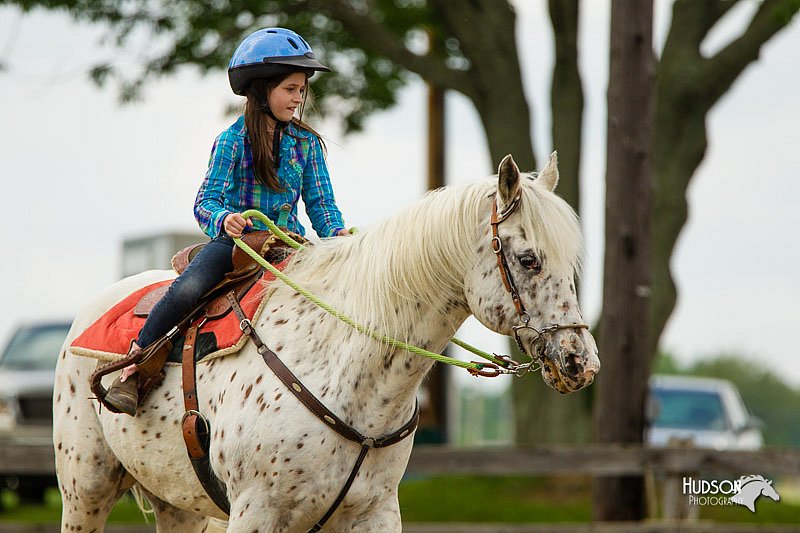 4H-FUN-060813-1112.jpg