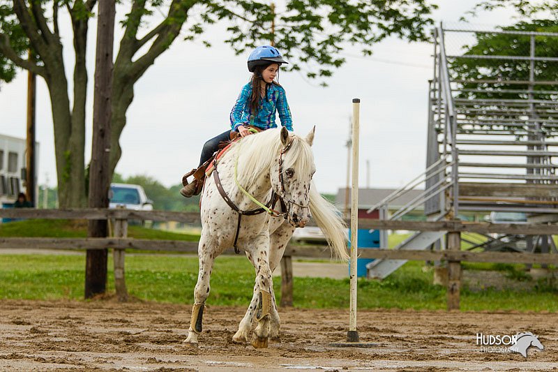 4H-FUN-060813-1114.jpg