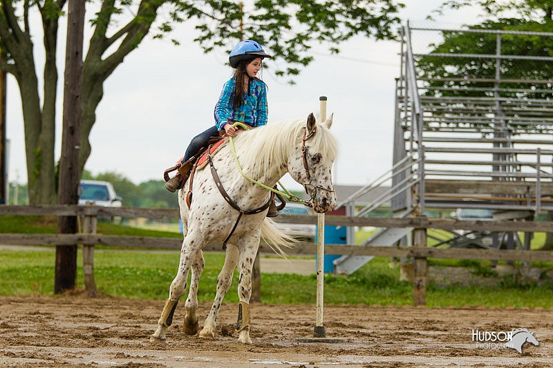 4H-FUN-060813-1116.jpg