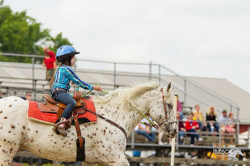 4H-FUN-060813-1117.jpg
