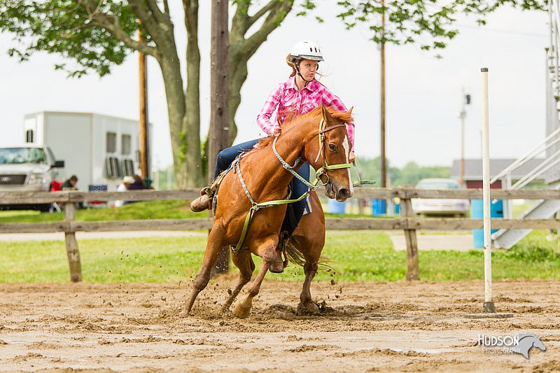 4H-FUN-060813-1133.jpg