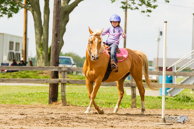 4H-FUN-060813-1141.jpg