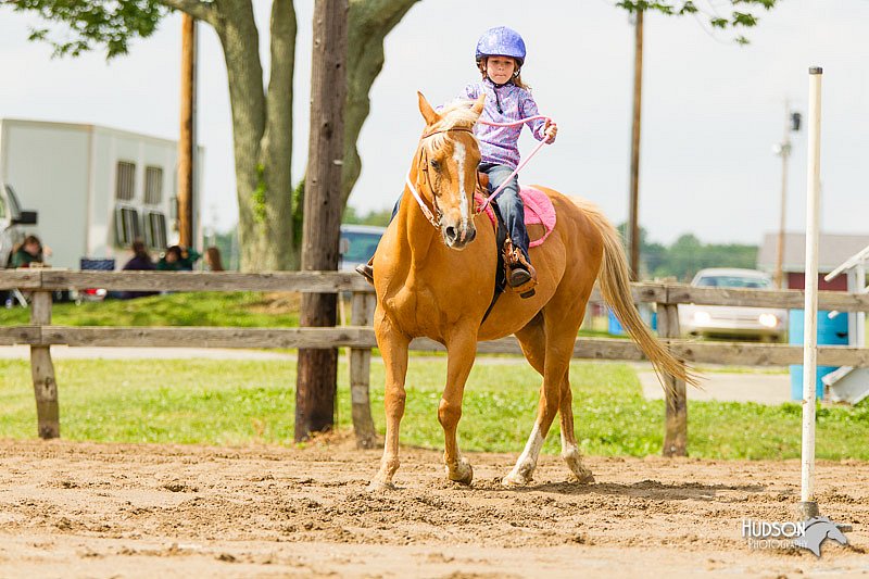 4H-FUN-060813-1142.jpg