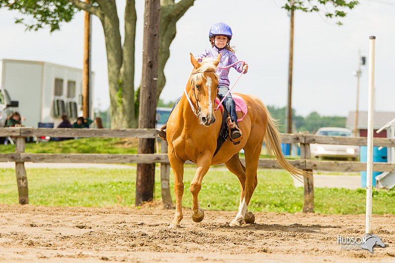 4H-FUN-060813-1143.jpg