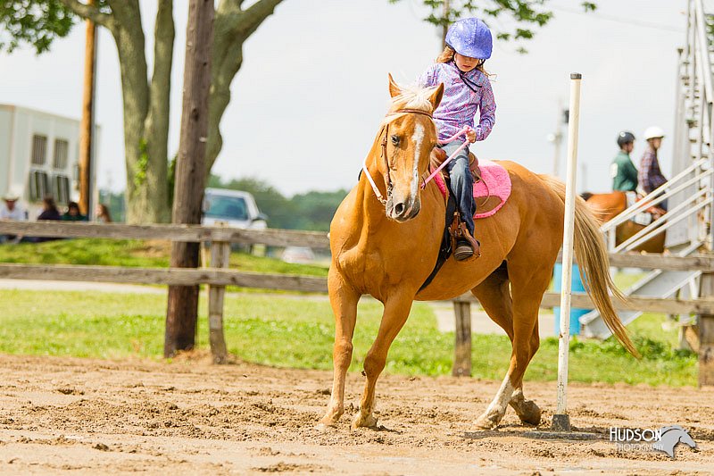 4H-FUN-060813-1148.jpg