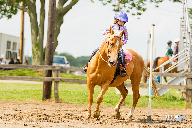 4H-FUN-060813-1149.jpg