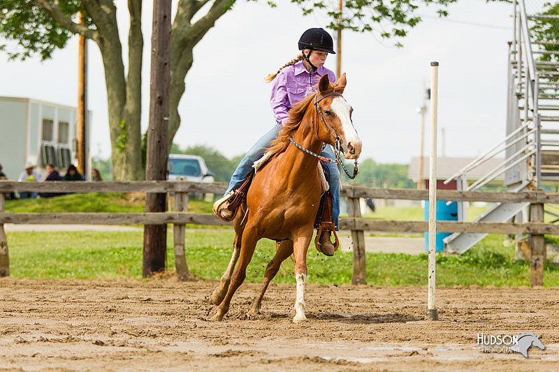 4H-FUN-060813-1166.jpg