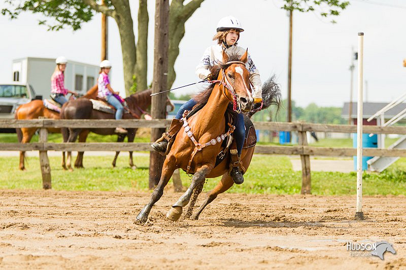 4H-FUN-060813-1174.jpg