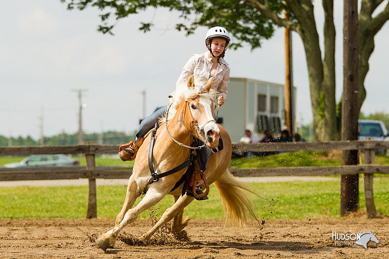 4H-FUN-060813-1181.jpg